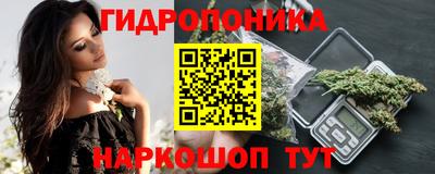 крисы Ливны