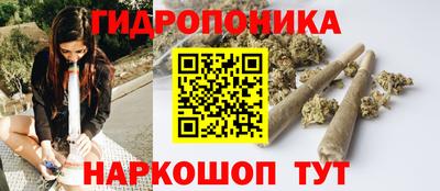 крисы Ливны