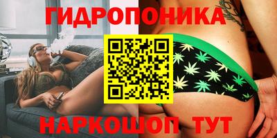 крисы Ливны